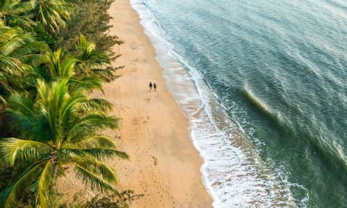 Palm Cove